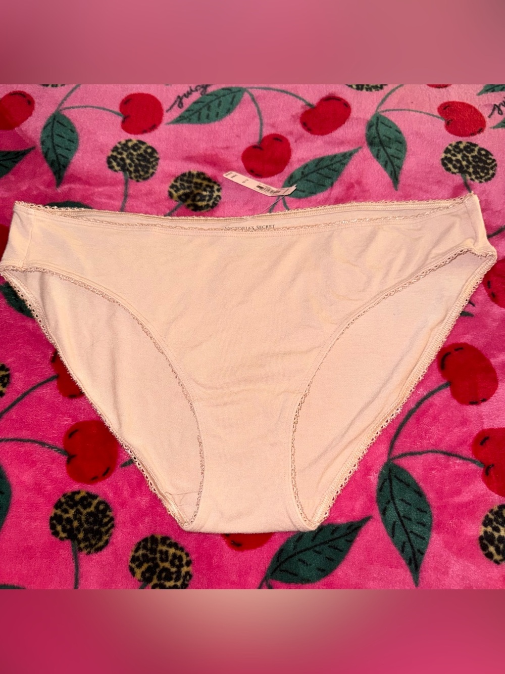 NWT Victoria’s Secret Nude Lace Trim Bikini Panty Size XL